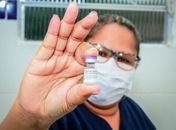 Penedo recebe nova remessa de vacinas contra a Covid-19