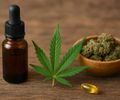 “Abertura de uma porta real”: médico analisa impacto da lei da cannabis medicinal no SUS em Alagoas
