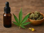 “Abertura de uma porta real”: médico analisa impacto da lei da cannabis medicinal no SUS em Alagoas