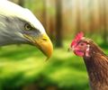 Do voo da galinha ao voo da águia: 
redefinindo o crescimento brasileiro