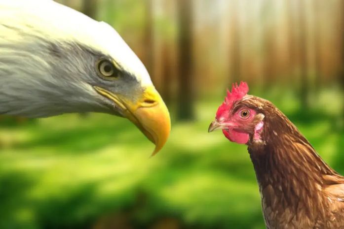 Do voo da galinha ao voo da águia: 
redefinindo o crescimento brasileiro