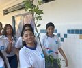 
Jó Pereira, a  Yasmim, toda majestosa conduziu a Árvore Sagrada para o plantio.
Agora, na Escola Rosa da Fonseca tem Baobá
