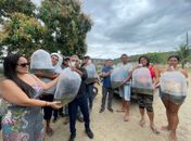 Incentivo à piscicultura: prefeitura de Branquinha entrega nova remessa de alevinos