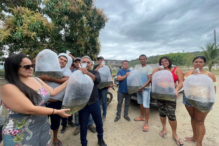 Incentivo à piscicultura: prefeitura de Branquinha entrega nova remessa de alevinos