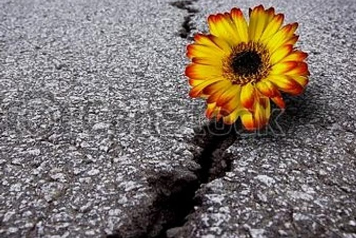 Só por hoje, só hoje, eu precisava ser frágil, voltar a ser criança, brincar. Mas, hoje não dá. Tem muita coisa para pôr no lugar. Hoje é dia de luta.