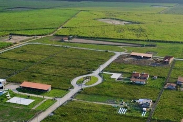 Queimadas próximas a condomínio em município da Grande Maceió é alvo de investigação