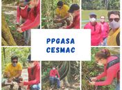 Projeto do PPGASA Cesmac analisa capacidade de resposta fenológica e susceptibilidade de um grupo de plantas mais ameaçado do Brasil
