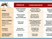 Mais de mil casos de Zika foram registrados de janeiro a maio em Maceió
