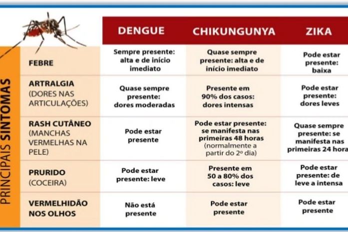 Mais de mil casos de Zika foram registrados de janeiro a maio em Maceió