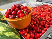 Feira da Agricultura Familiar em Maragogi vai reunir produtores do litoral ao sertão alagoano