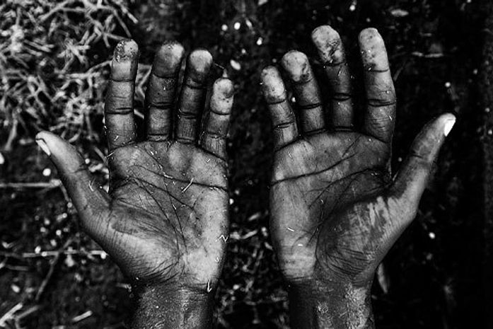 Trabalho escravo em Alagoas ainda é uma realidade