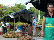 Feira Camponesa começa nesta quinta-feira no Santo Eduardo