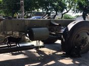 Comissão da OAB constata situação de abandono de cães e gatos no Vergel do Lago, em Maceió
