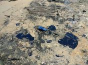 Ibama e Marinha encontram manchas de óleo na Foz do São Francisco