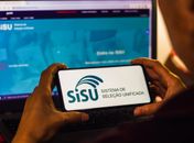 Sisu