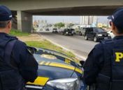 PRF apreende 10 mil tijolos sem Nota Fiscal na BR-101