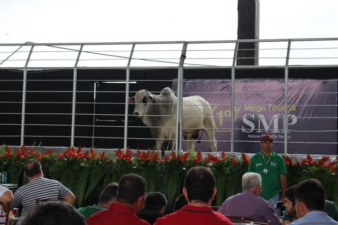 Expoagro 2020 dá início a calendário de leilões