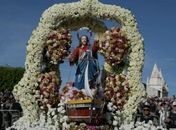 Prefeitura de Penedo transmite ao vivo a procissão terrestre, fluvial e a missa de encerramento do Bom Jesus 2026