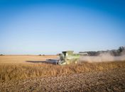 Como os inseticidas são usados no agronegócio?