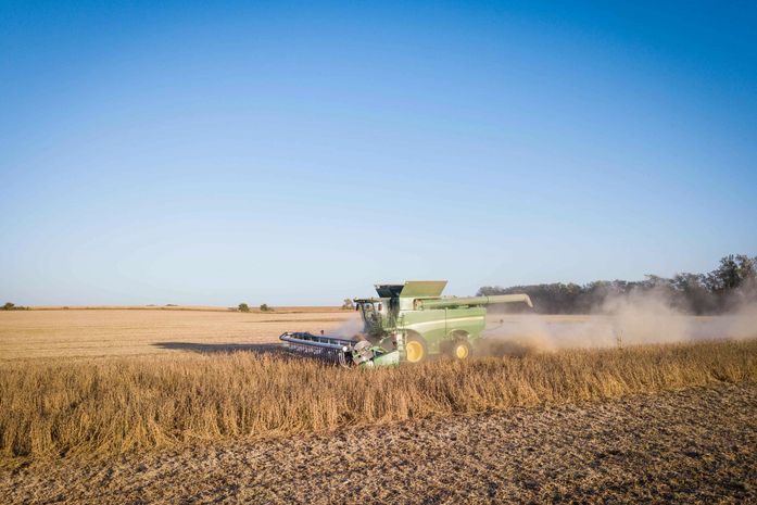 Como os inseticidas são usados no agronegócio?