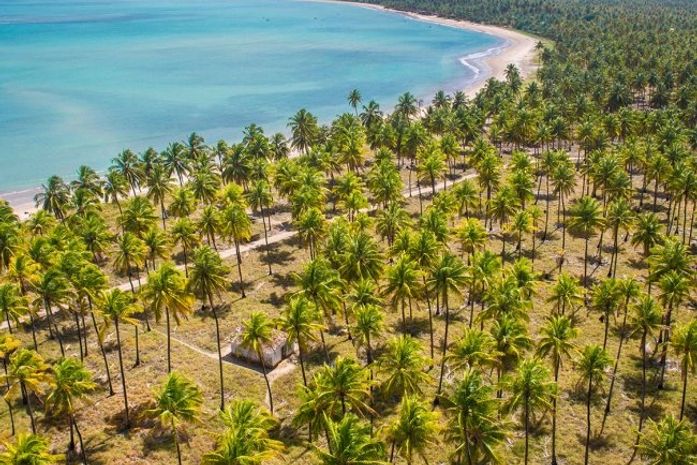 Praia do Patacho, em Porto de Pedras