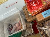 Trailer é interditado após apreensão de cerca de 20 kg de alimentos impróprios em Jaraguá