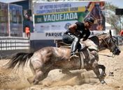 Vaquejada uma tradição que aquece a economia no Nordeste 