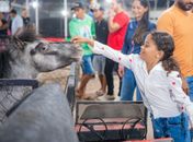 Girau do Ponciano se prepara para a 6ª edição do maior evento agropecuário do Agreste