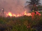 Grupamento do Corpo de Bombeiros é acionado para debelar incêndio em vegetação as margens da AL-110 em Arapiraca 