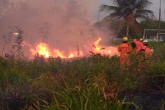 Grupamento do Corpo de Bombeiros é acionado para debelar incêndio em vegetação as margens da AL-110 em Arapiraca