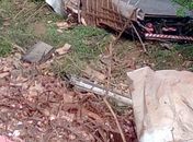 Motorista morre após perder controle de caminhão em curva na rodovia AL 115 