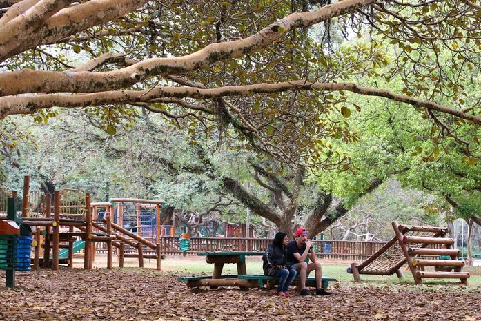 Prefeito de São Paulo sanciona lei que proíbe fumo em parques públicos