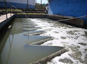 Não há evidências científicas de que a doença possa ser transmitida por água atingida pelo esgoto.