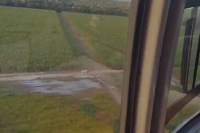 Bombeiros resgatam acadêmicos de Medicina que se perderam em canavial