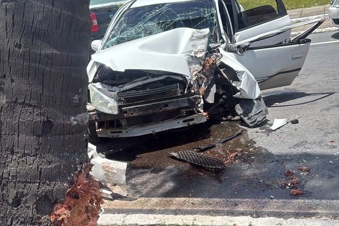 Vídeo: Motorista fica preso às ferragens após perder o controle e bater carro em coqueiro em Maceió