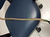 Homem é preso após chicotear mãe e bebê de 3 meses com arreio de cavalo em Maceió