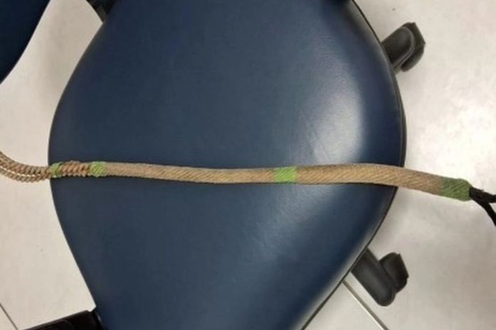 Homem é preso após chicotear mãe e bebê de 3 meses com arreio de cavalo em Maceió