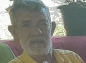 Idoso morre após ser atacado por enxame de abelhas no zona rural de Lagoa da Canoa 