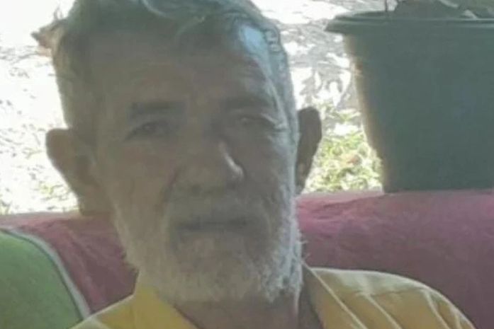 Idoso morre após ser atacado por enxame de abelhas no zona rural de Lagoa da Canoa