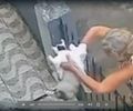 Polícia divulga imagens e busca idosa que abandonou gato em casa no Vergel