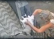 Polícia divulga imagens e busca idosa que abandonou gato em casa no Vergel
