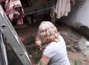 Cão idoso estava desnutrido