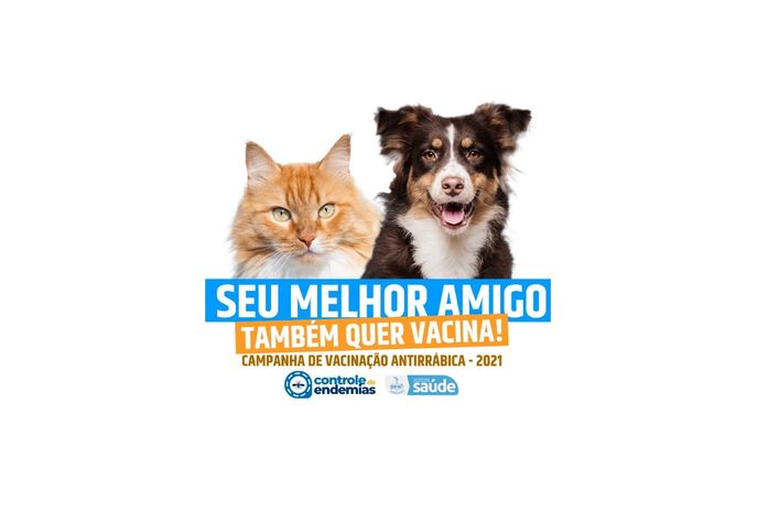 Campanha de vacinação antirrábica terá início na próxima segunda-feira, em Delmiro Gouveia