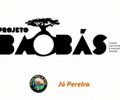 Professor/pesquisador de Brasília utiliza o Projeto Baobás, de Alagoas, como uma das referências para solicitar Tombamento Nacional, da Árvore Sagrada