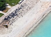 Governo notifica empresa do barco suspeito de ter vazado óleo