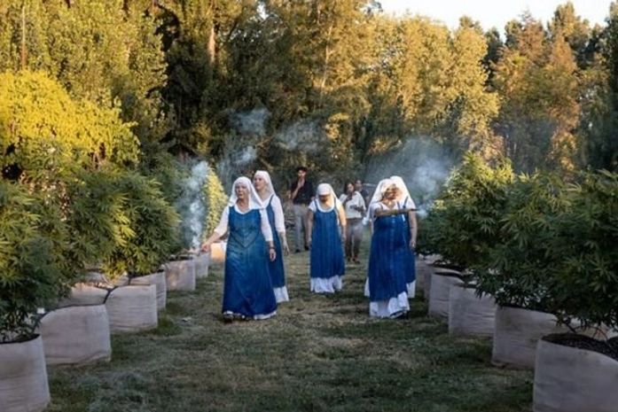 Grupo de freiras abre loja de produtos à base de maconha no México