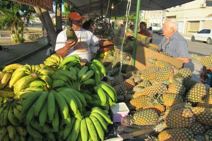 Feira da Agricultura familiar completa um ano mudando a vida do agricultor penedense