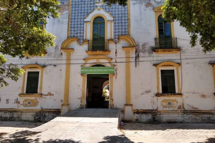 Jovem é preso em flagrante por tentativa de furto a museu da Ufal no Prado
