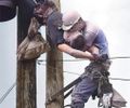 Dois homens no alto de um poste.Um lutando para sobreviver e outro se recusando a deixá-lo morrer