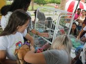 Projeto Vem Pro Bosque realiza nova edição especial para pets neste domingo (17)